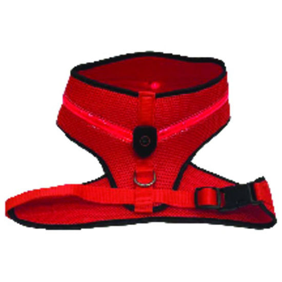 Picture of Royal Animals Led Dog Harness (small)