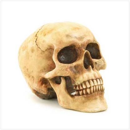 Picture of Grinning Skull Figurine