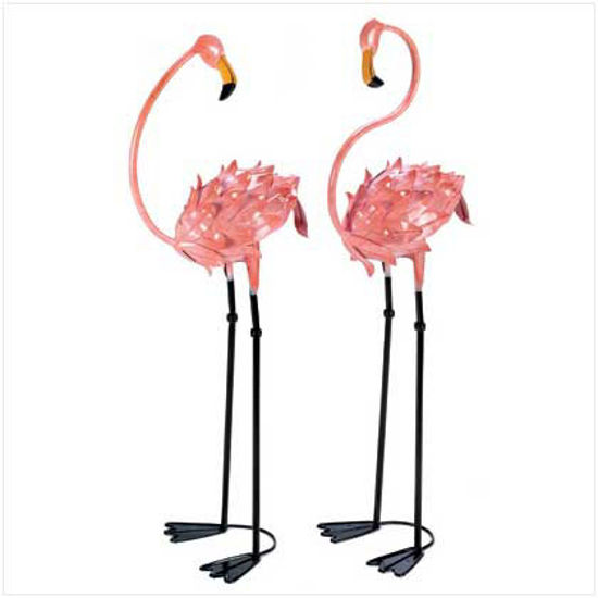Picture of Flamboyant Flamingo Stakes