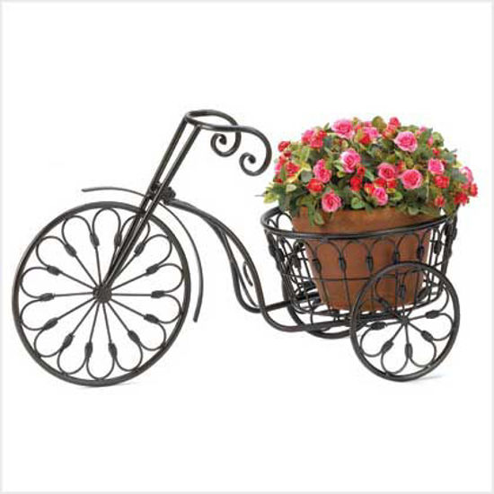 Picture of Bicycle Plant Stand