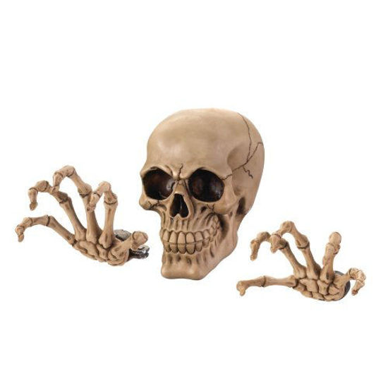 Picture of Skeleton Wall Decor Set