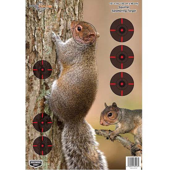 Picture of Birchwood Casey Pregame Squirrel 12x18 Target 8pk