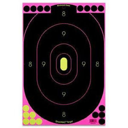 Picture of Birchwood Casey Shoot-N-C Pink 12x18 Silhouette Trgt 5 PK